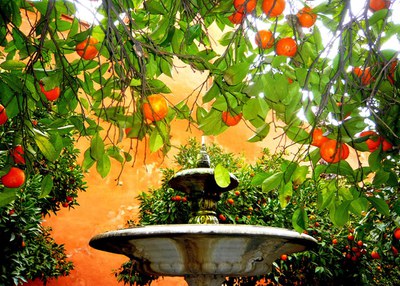 fuente con naranjos