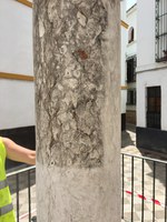 Ejemplo de las patologías que presentaba la columna romana del monumento a las Tres Cruces