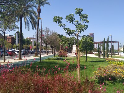 Nueva Plaza del General San Martín (1) Nueva Plaza del General San Martín (1)