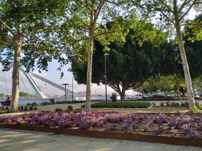 Zona estancia nueva junto a Puente Barqueta (2) Zona estancia nueva junto a Puente Barqueta (2)