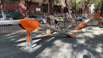 Nueva zona para el esparcimiento canino Nueva zona para el esparcimiento canino