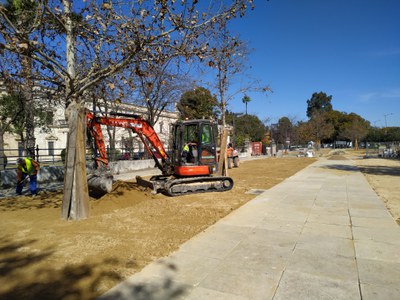 Trabajos de tratamiento del albero