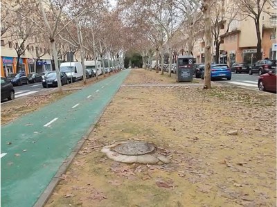 Tramo del bulevar central de la Avda. de Alemana en dirección a la Glorieta de Chequia