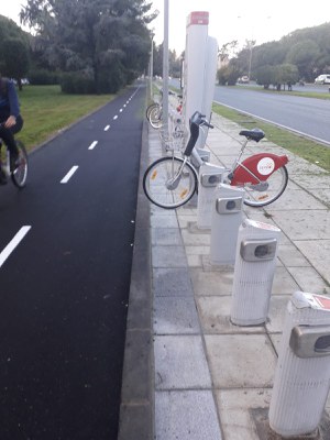 Ejemplo de tramo de carril bici construido recientemente en la ciudad de Sevilla