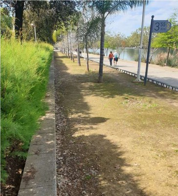 Parterre junto al Paseo Juan Carlos I, por el que pasean varias personas