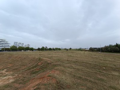 Solar de titularidad municipal tras las labores de limpieza realizadas