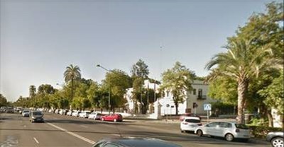 Vista general de la Avenida de la Palmera