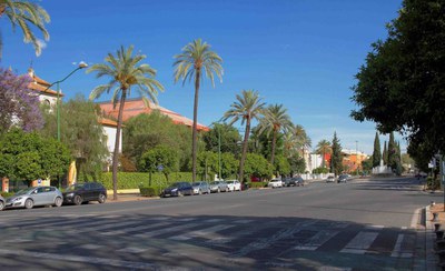 Vista general de la Avenida de la Palmera, una de las zonas de baja densidad edificatoria a las que afectará este cambio del PGOU