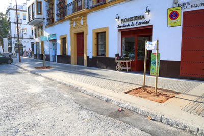 Aspecto que presenta el tramo de acera renovado, a la espera de que Parques y Jardines plante los árboles en los nuevos alcorques construidos