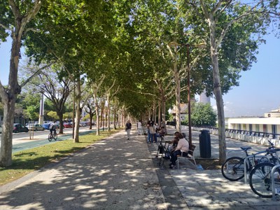 Paseantes, ciclistas, jóvenes y mayores haciendo uso del nuevo y remodelado Paseo de Torneo