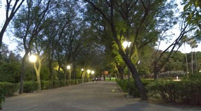 Vista de uno de los caminos del parque al anochecer, con las nuevas luminarias led encendidas