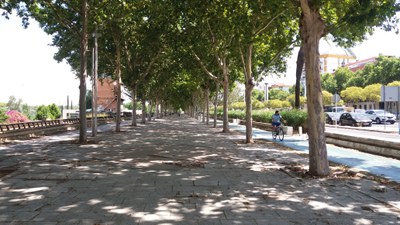 Vista del Paseo de Torneo a la altura de la Pasarela de la Cartuja en dirección norte