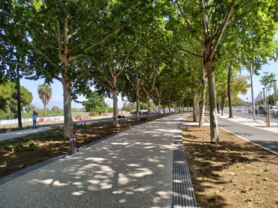 El nuevo paseo de Torneo se configura en torno a un itinerario central peatonal flanqueado por bandas laterales ajardinadas y un mayor carril bici