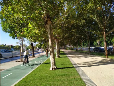 Un ciclista discurre por el nuevo trazado del carril bici del Paseo de Torneo en el tramo ya reurbanizado