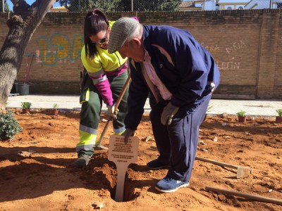 Un vecino en las tareas de replantado ejecutadas en Tarfia