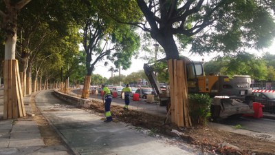 Las máquinas excavadoras operan ya en el tramo del paseo entre la calle Jándalo y la Pasarela de la Cartuja